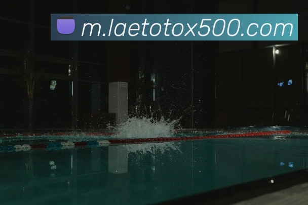 500彩票平台生态图